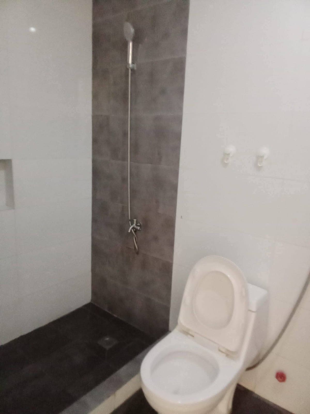 ‼️For Rent For Rent Rush Negotiable for SURE AND INTERESTED TENANTS ‼️ - photo 4