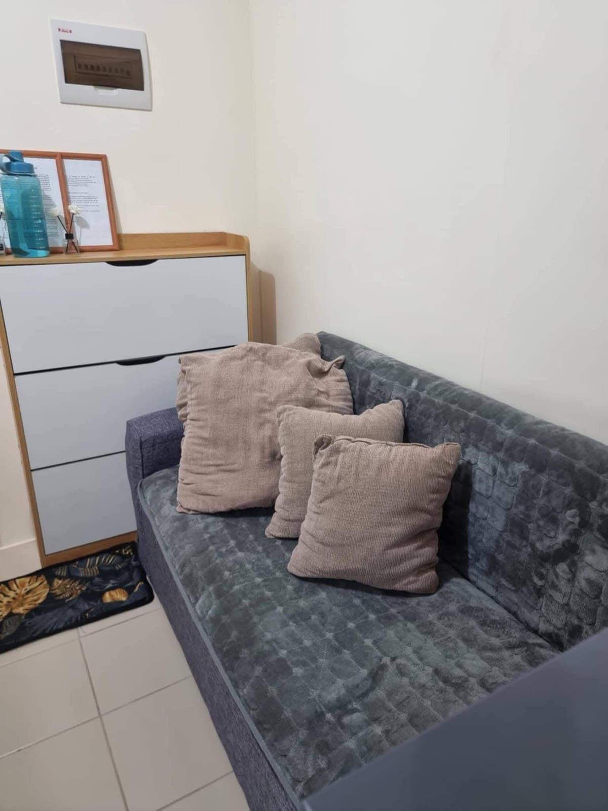 #PTPA 𝙁𝙊𝙍 𝙍𝙀𝙉𝙏 💯‼️ - photo 2