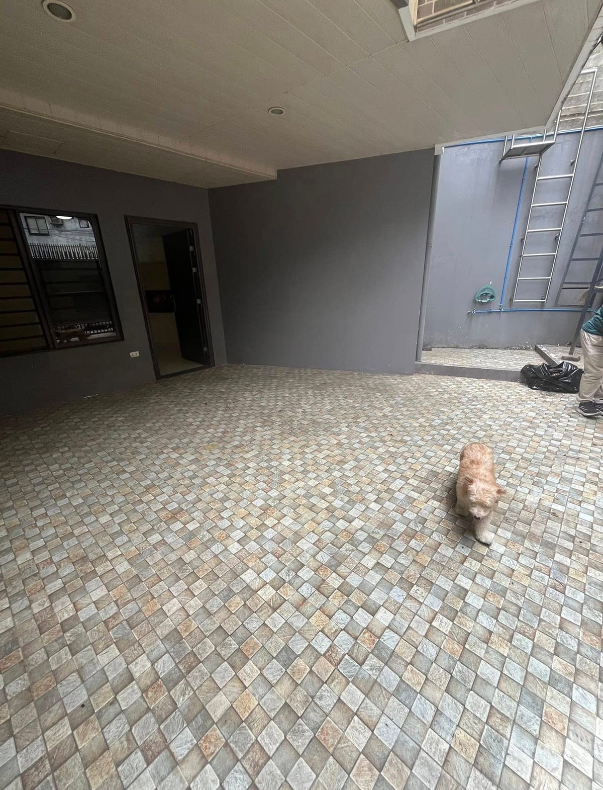 House for SALE/RENT (PETS ALLOWED) - photo 2