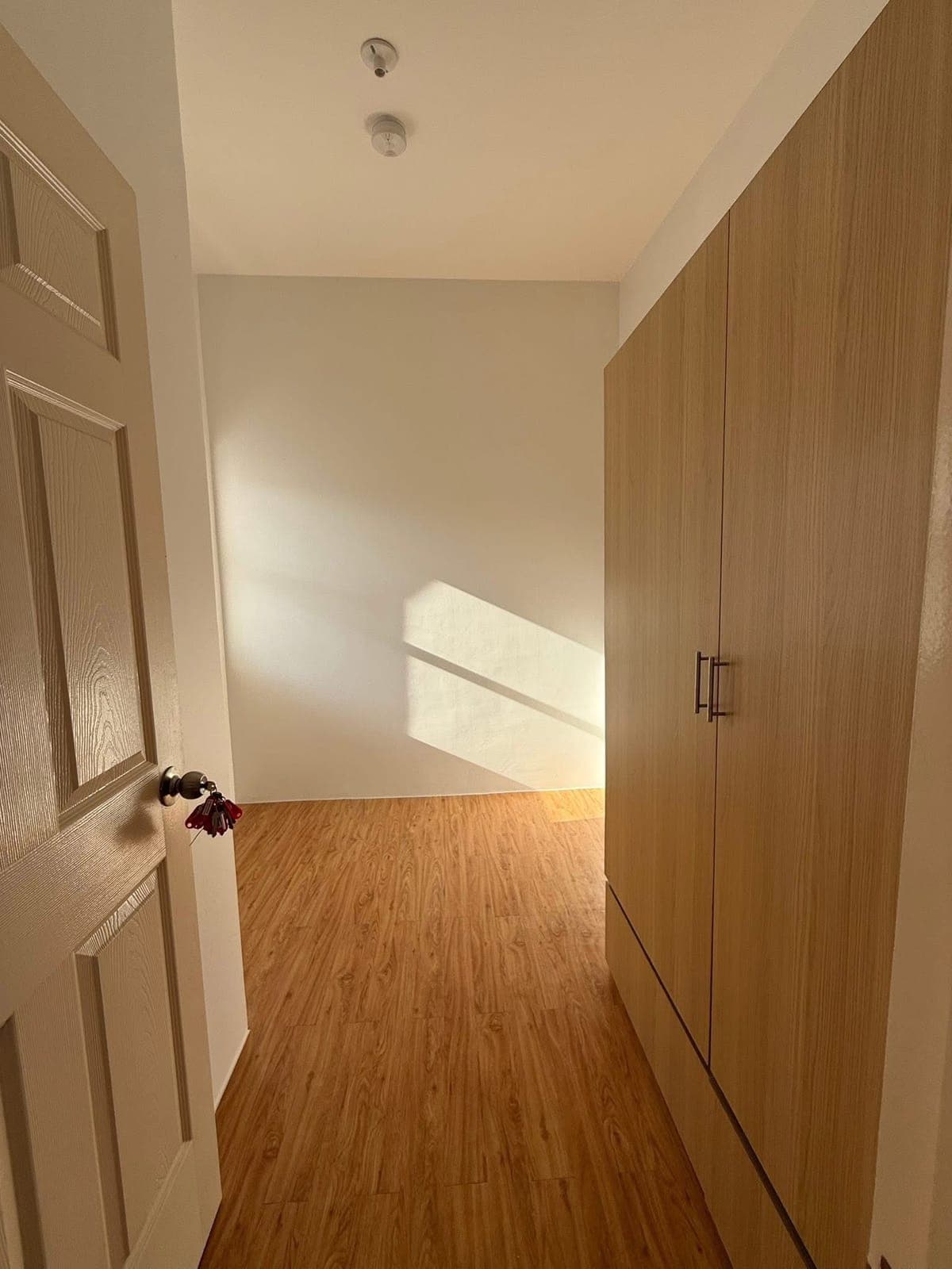 Brand New Townhouse for rent!!! - photo 12