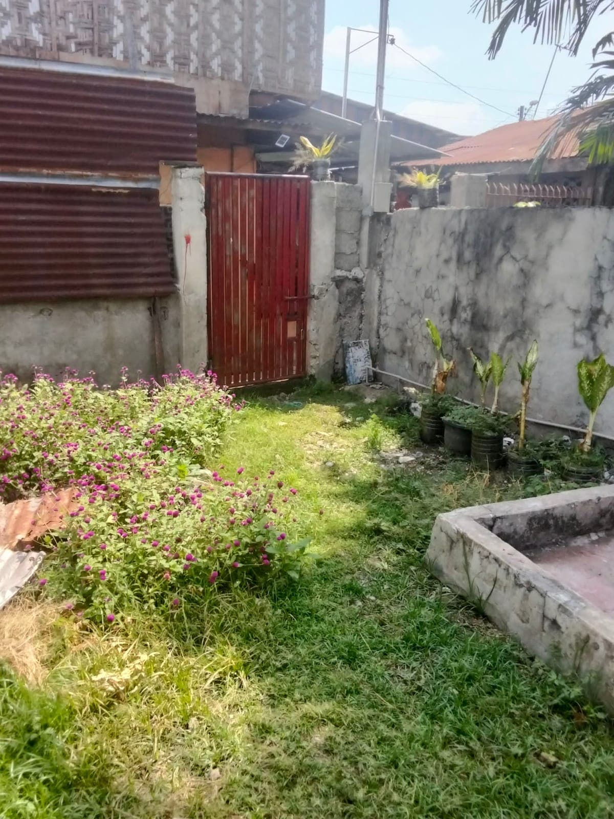 Available for Rent - photo 5