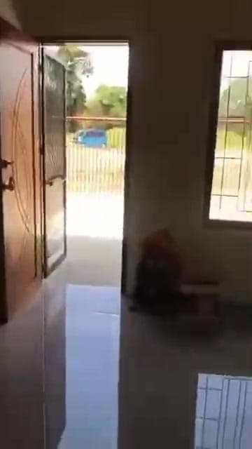 🏡HOUSE FOR RENT - photo 5