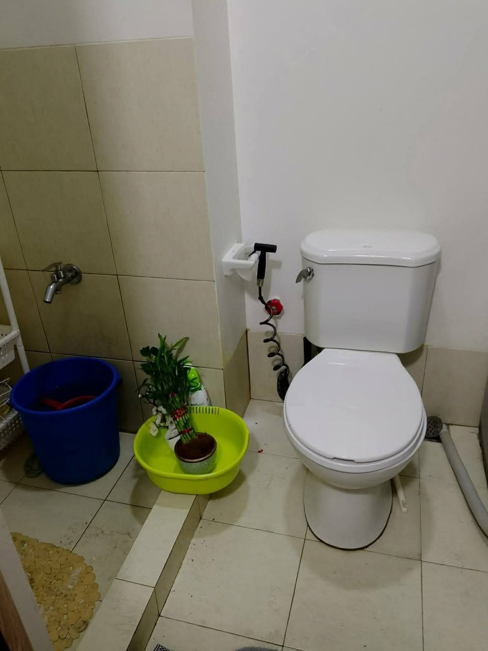 🚨 RUSH RENT 🚨1 Bedroom Unit - photo 5