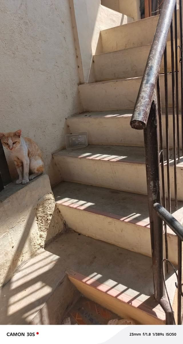 RENT UPPER UNIT - photo 4