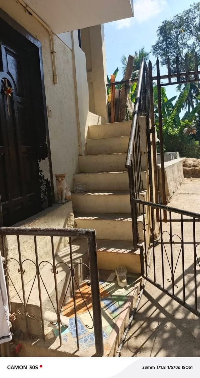 RENT UPPER UNIT - photo 3