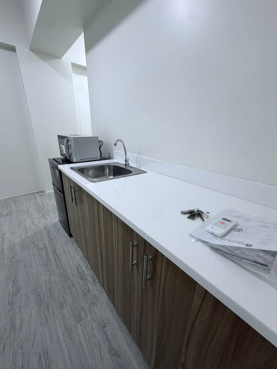 🏡 BRAND NEW STUDIO WITH BALCONY + PARKING FOR RENT - photo 2