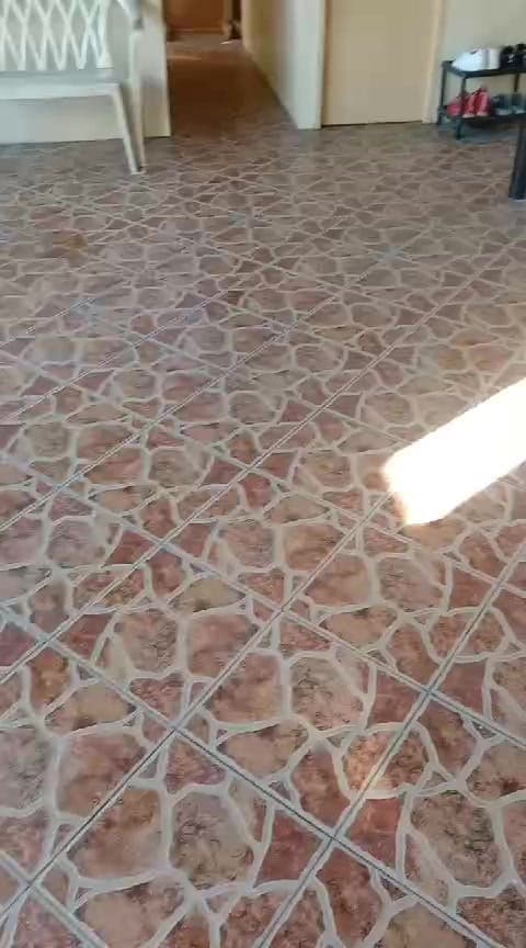 SOLO ROOM FOR RENT ❗❗ ❗ - photo 1