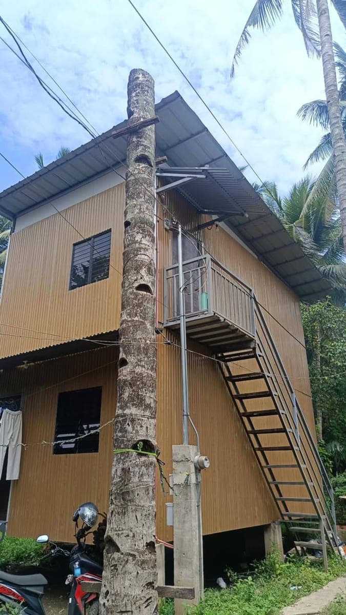 APARTMENT FOR RENT - photo 1
