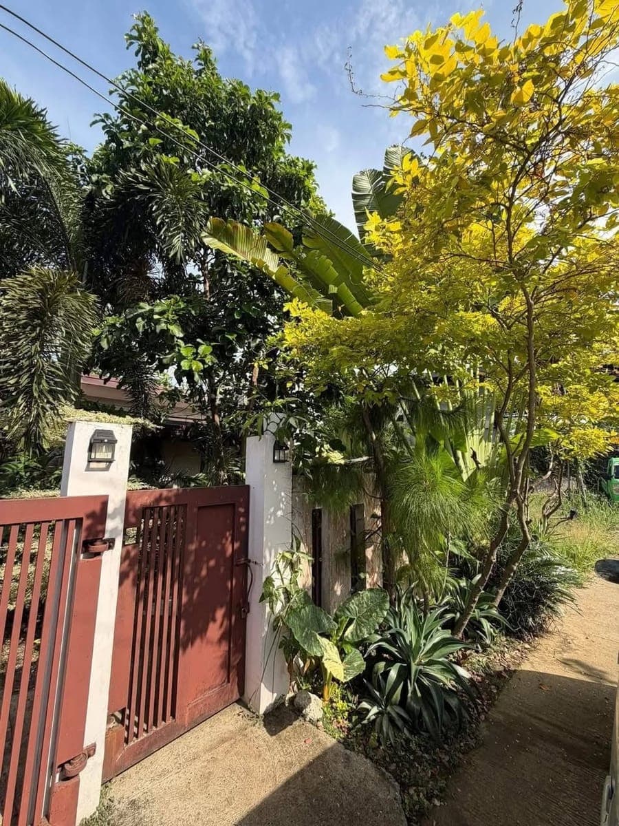 🍁HOUSE FOR RENT/SALE🍁 - photo 2