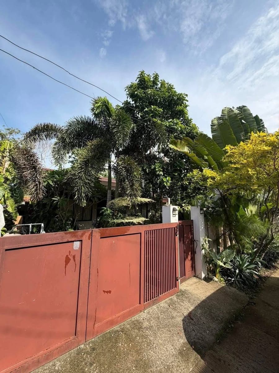 🍁HOUSE FOR RENT/SALE🍁 - photo 4