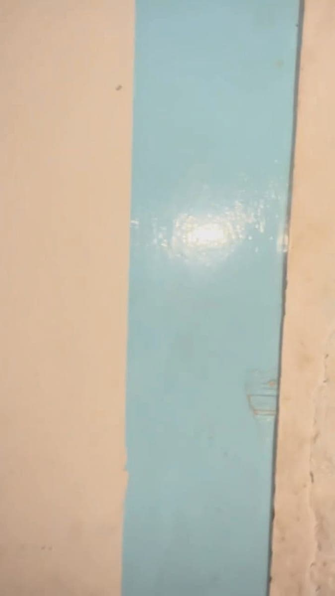 PTPA - photo 2
