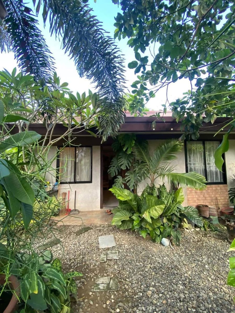 2 BR House for rent - photo 5