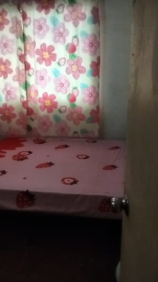 Room for Rent❣️ - photo 3
