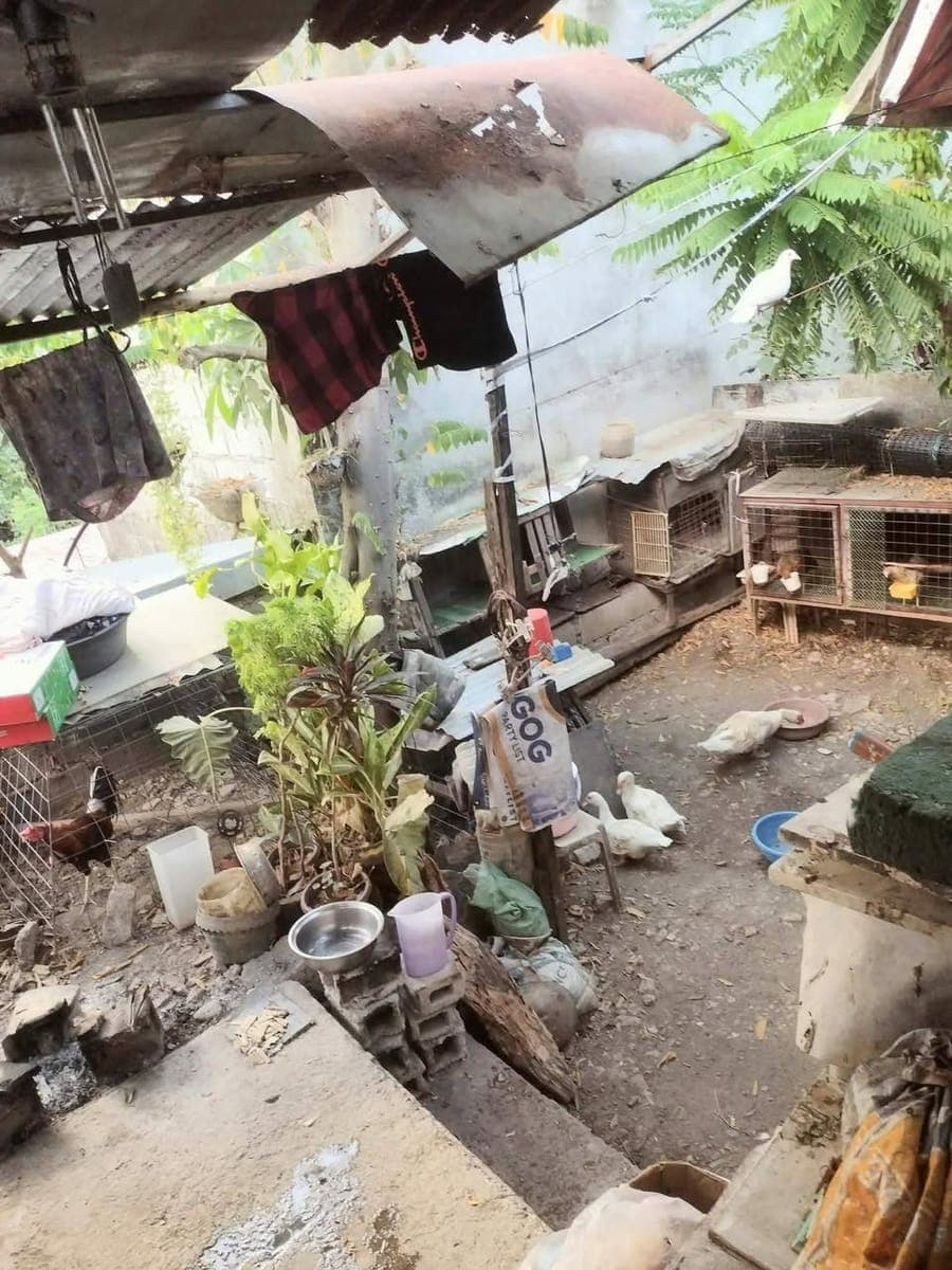🏡HOUSE N LOT 4 SALE - photo 4