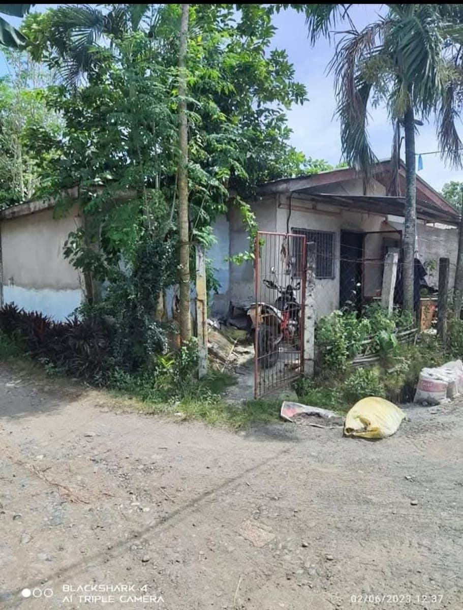 House for Rent Near LPU and Airport - photo 1