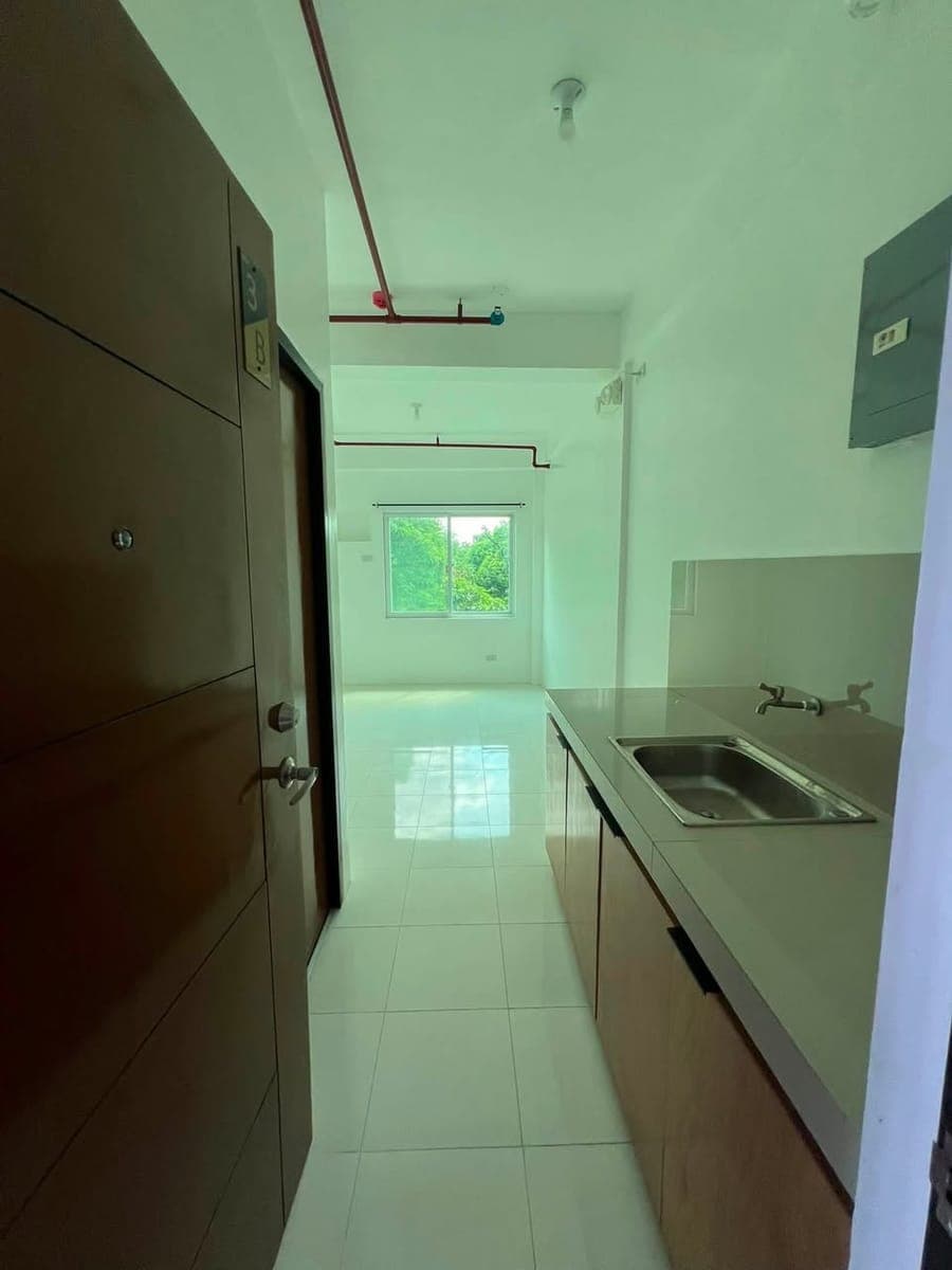 P12, 500 - photo 5