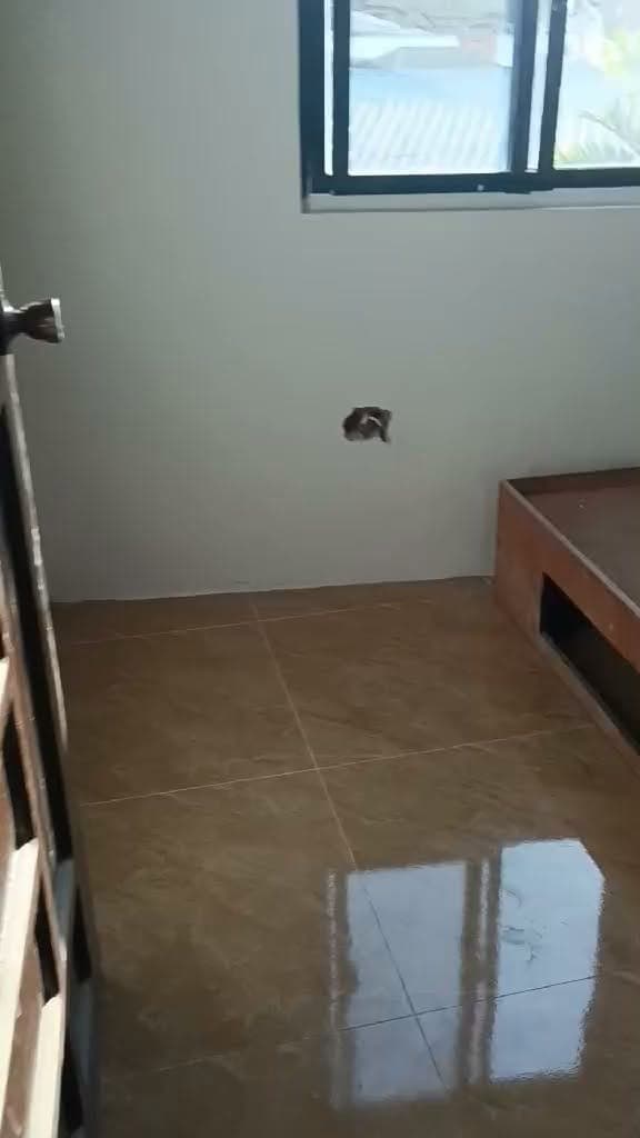 2 Brand New units available for rent - photo 2