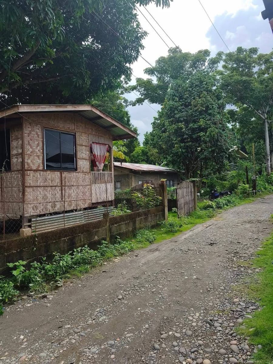 HOUSE FORE RENT W 2 BR. Dghan Trees, no need AIRCON. - photo 2