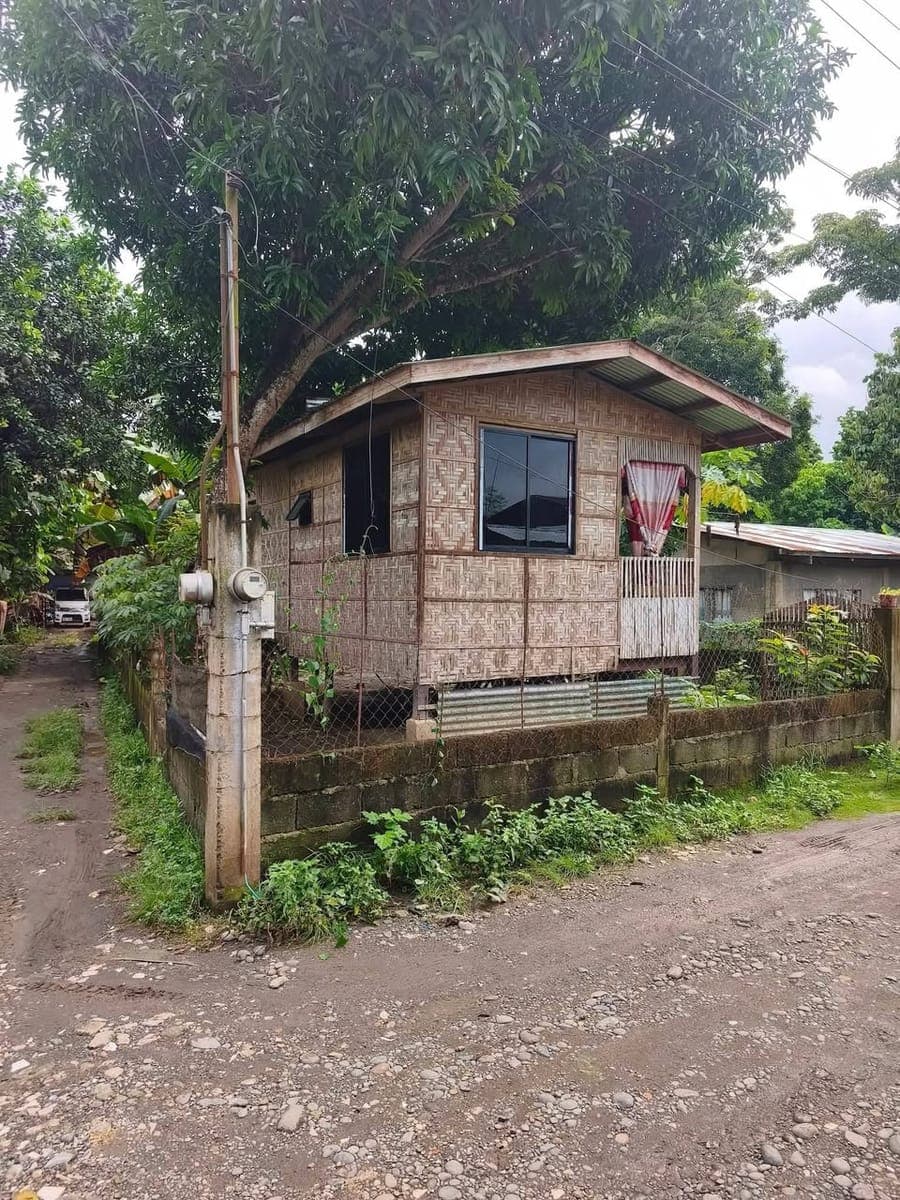 HOUSE FORE RENT W 2 BR. Dghan Trees, no need AIRCON. - photo 3
