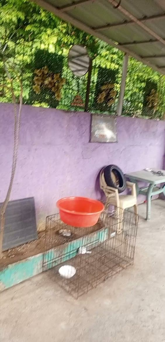 HOUSE FOR RENT BASA MUNA BAGO TANONG ‼️ - photo 1