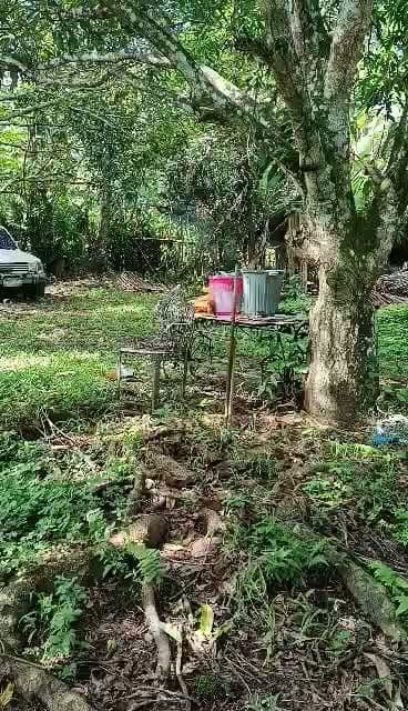 HOUSE FOR RENT TUGBOK  ‼️🍒 - photo 1