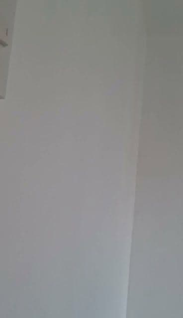 House for rent - photo 1