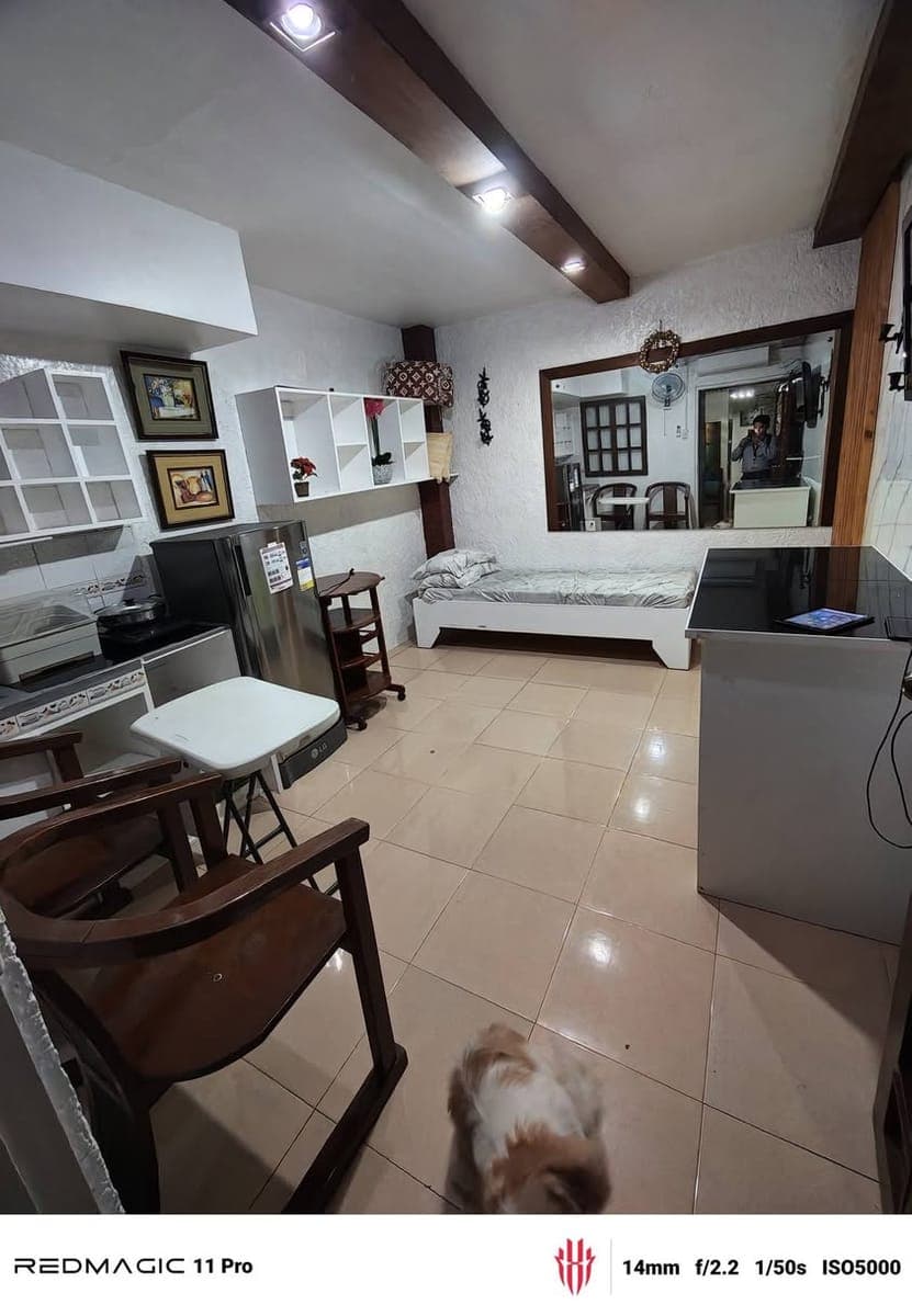 LOCATED AT SUNFLOWER STREET BLISS TOWNHOMES BRGY HULO MANDALUYONG CITY - photo 5