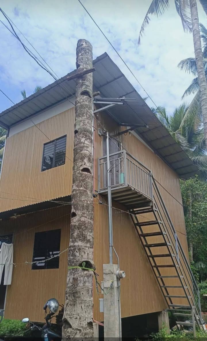 APARTMENT FOR RENT - photo 5