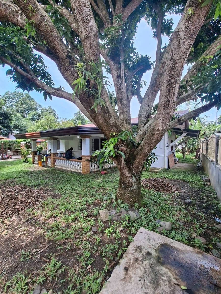 ‼️HOUSE FOR RENT‼️ - photo 5