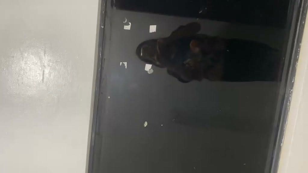 Room available - photo 1