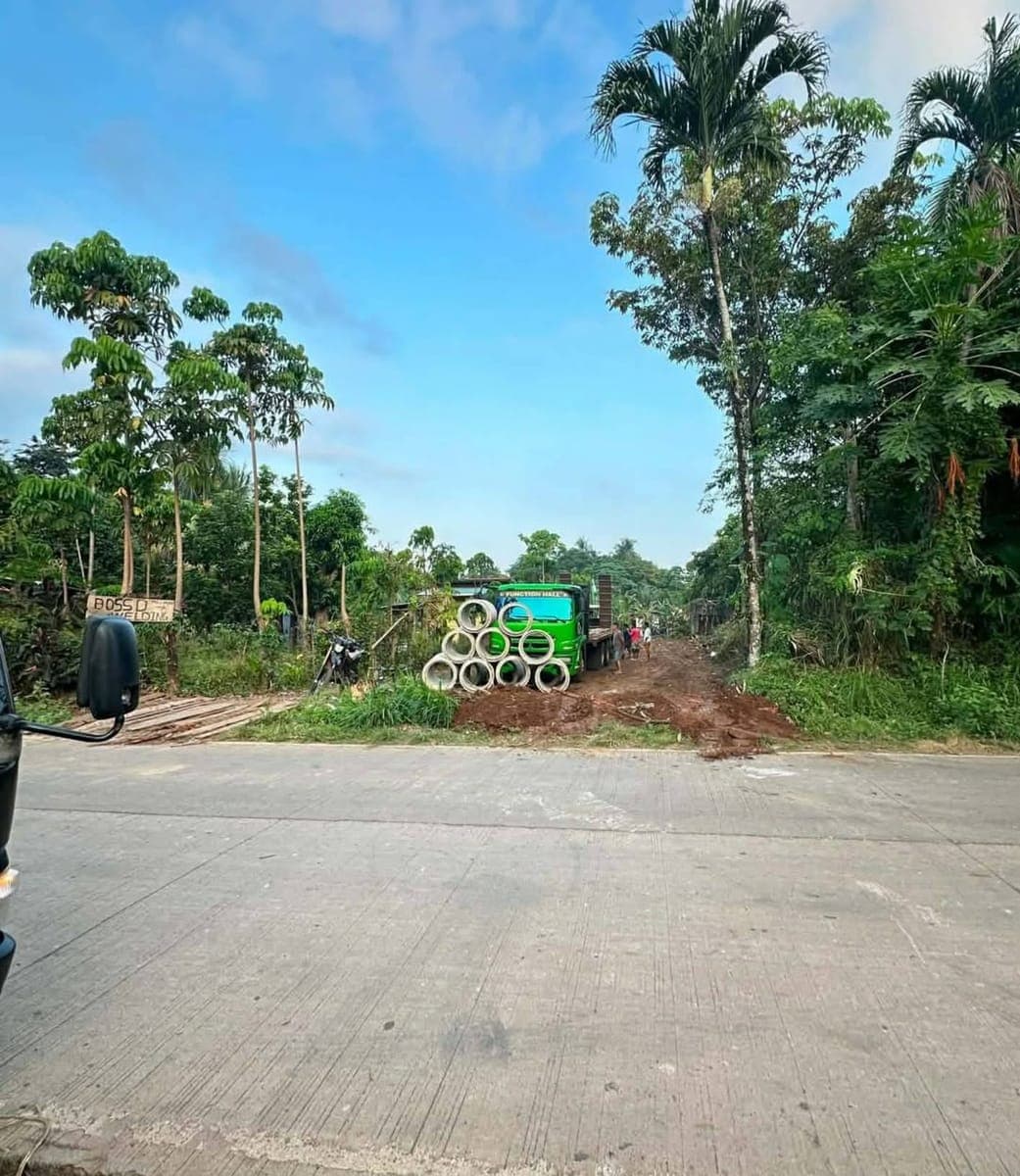 Bangkas Heights Toril purok 3 - photo 1