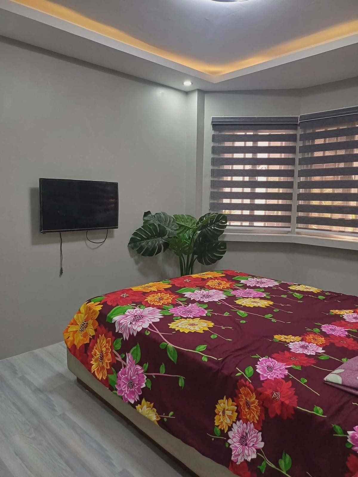 New renovation  New Repaint - photo 1