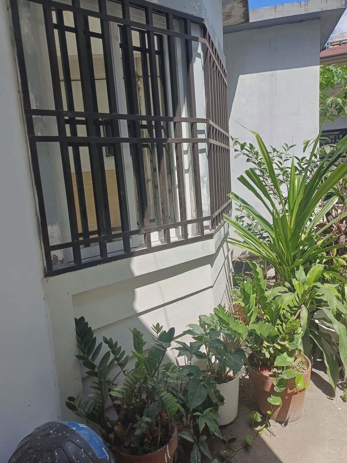 New renovation  New Repaint - photo 2