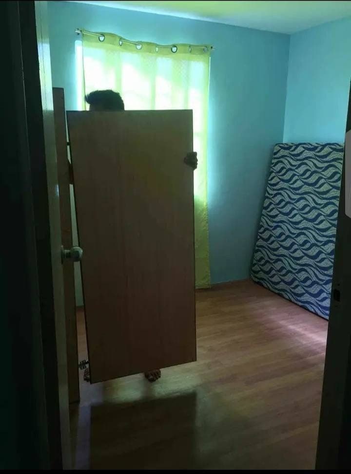 HOUSE FOR RENT - photo 1