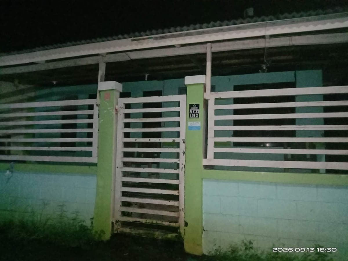 HOUSE FOR RENT! ! ! - photo 1