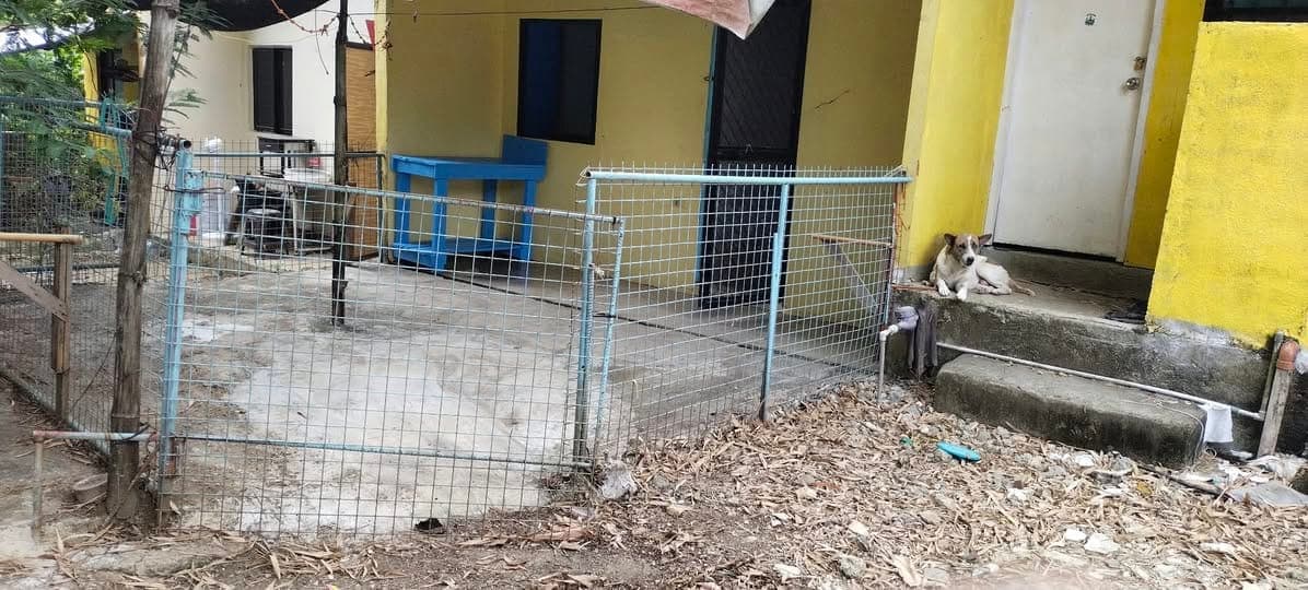 š FOR RENT: Tivs Yellow Apartment ā Liloan, Cebu - photo 1