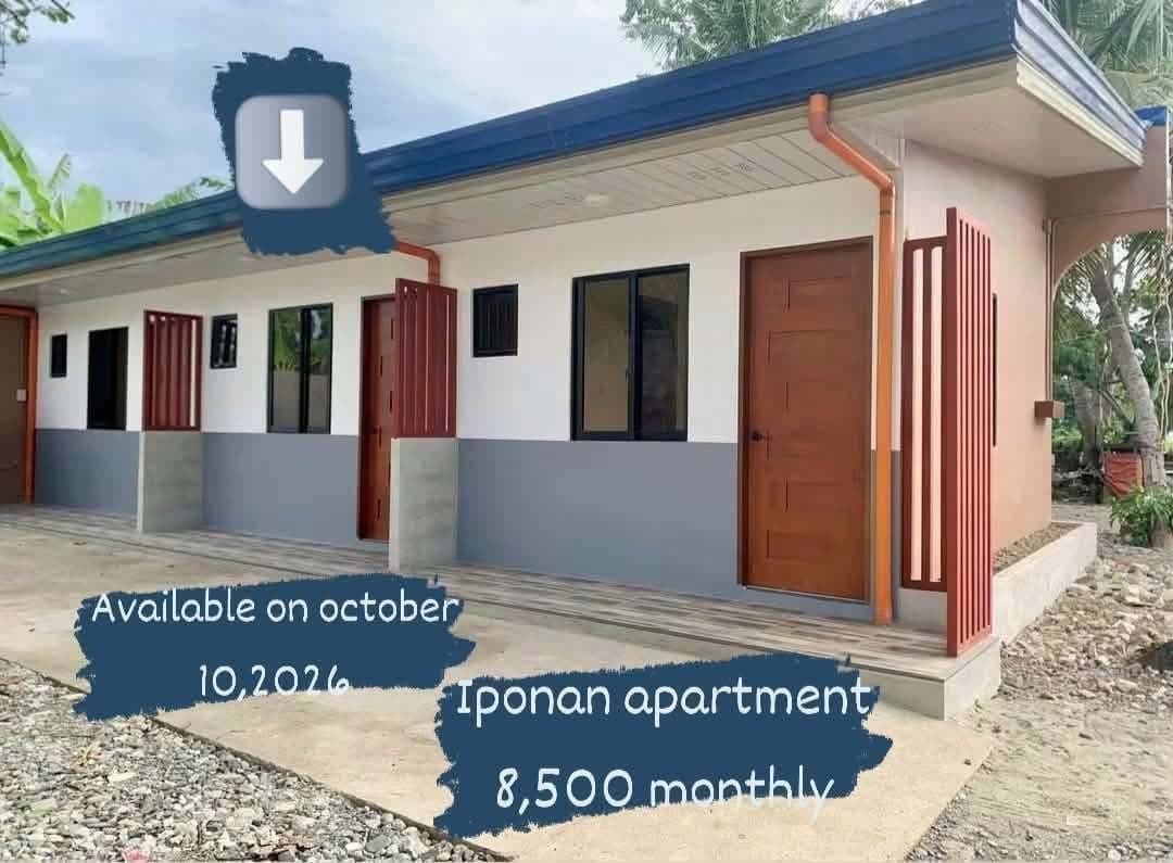 New APARTMENT FOR RENT!!! - photo 1