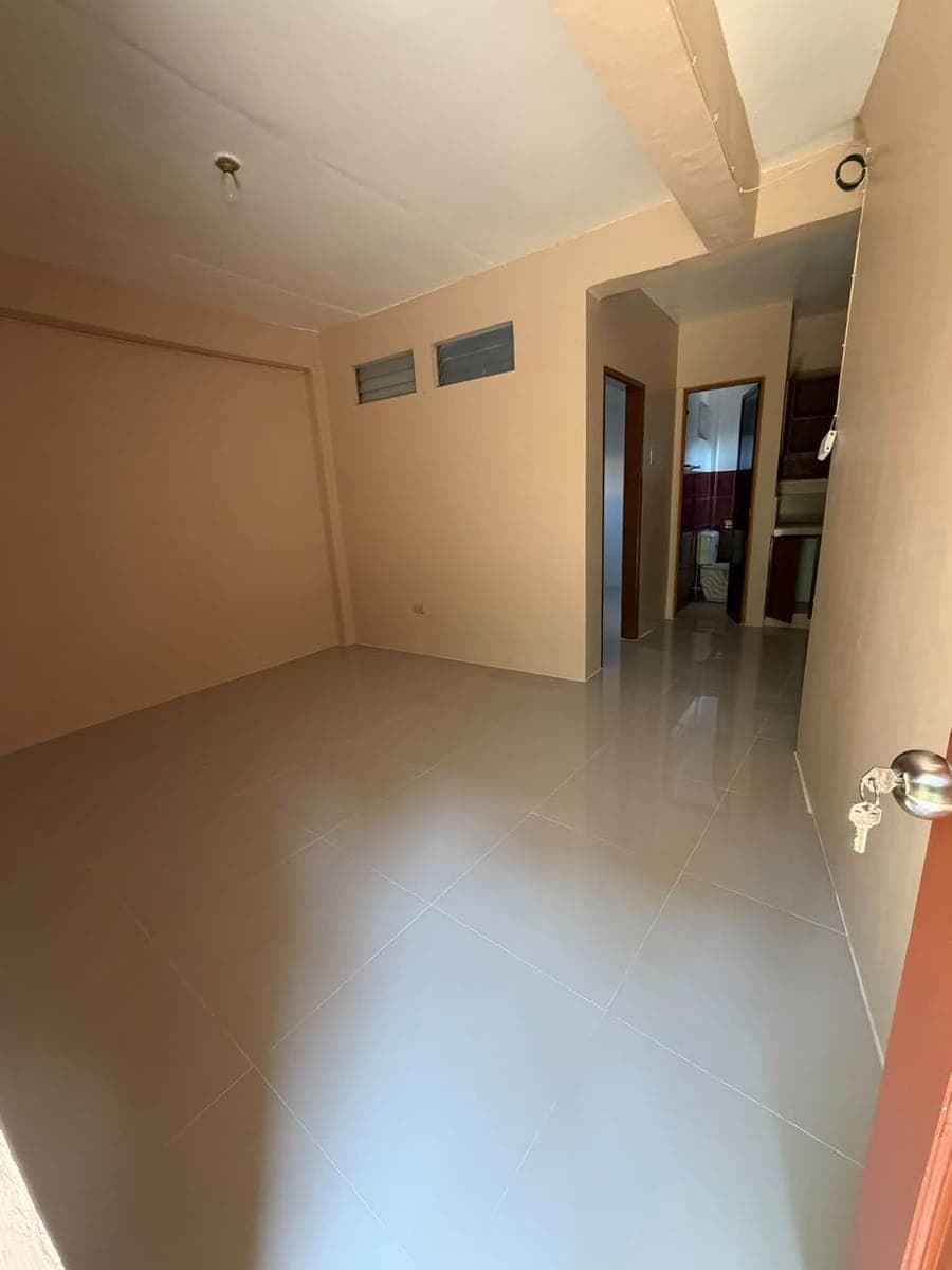 NEWLY RENOVATED APARTMENT FOR RENT - photo 1
