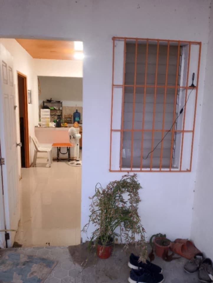 House 4 rent - photo 1