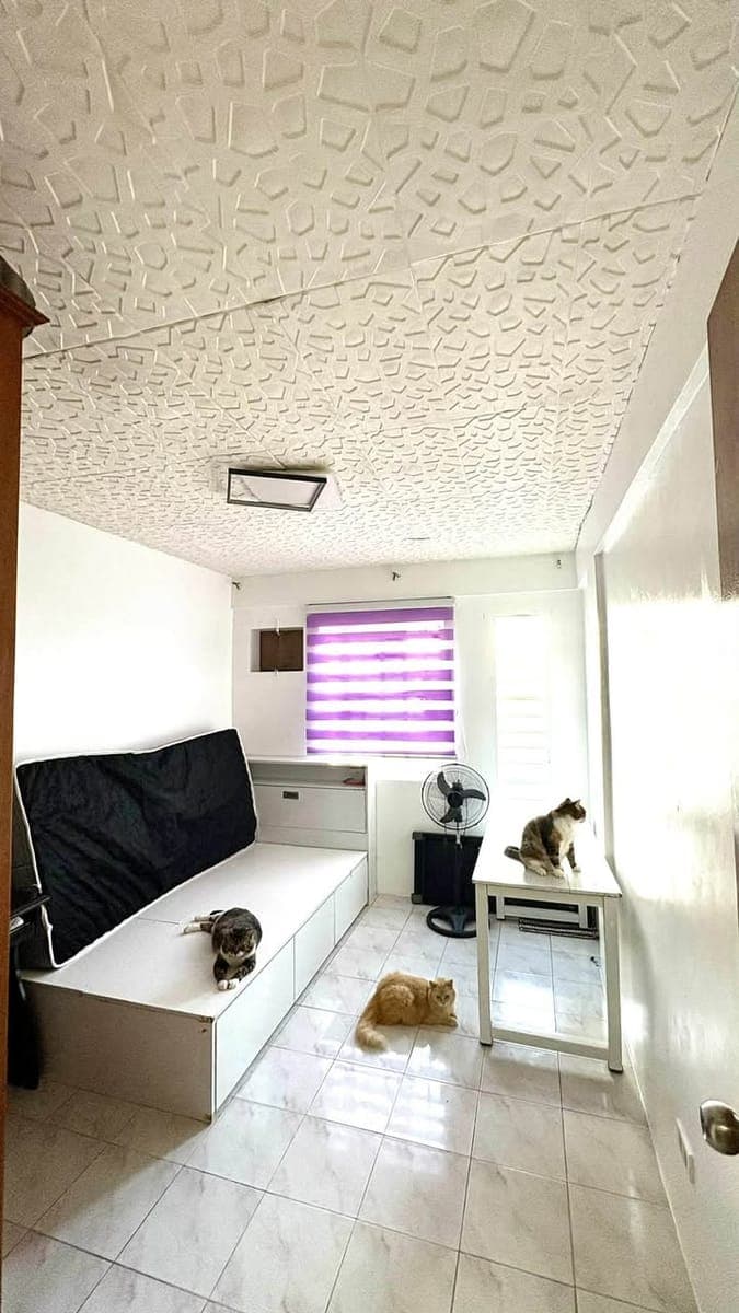 ๐ข ROOM FOR RENT ๐ข - photo 1
