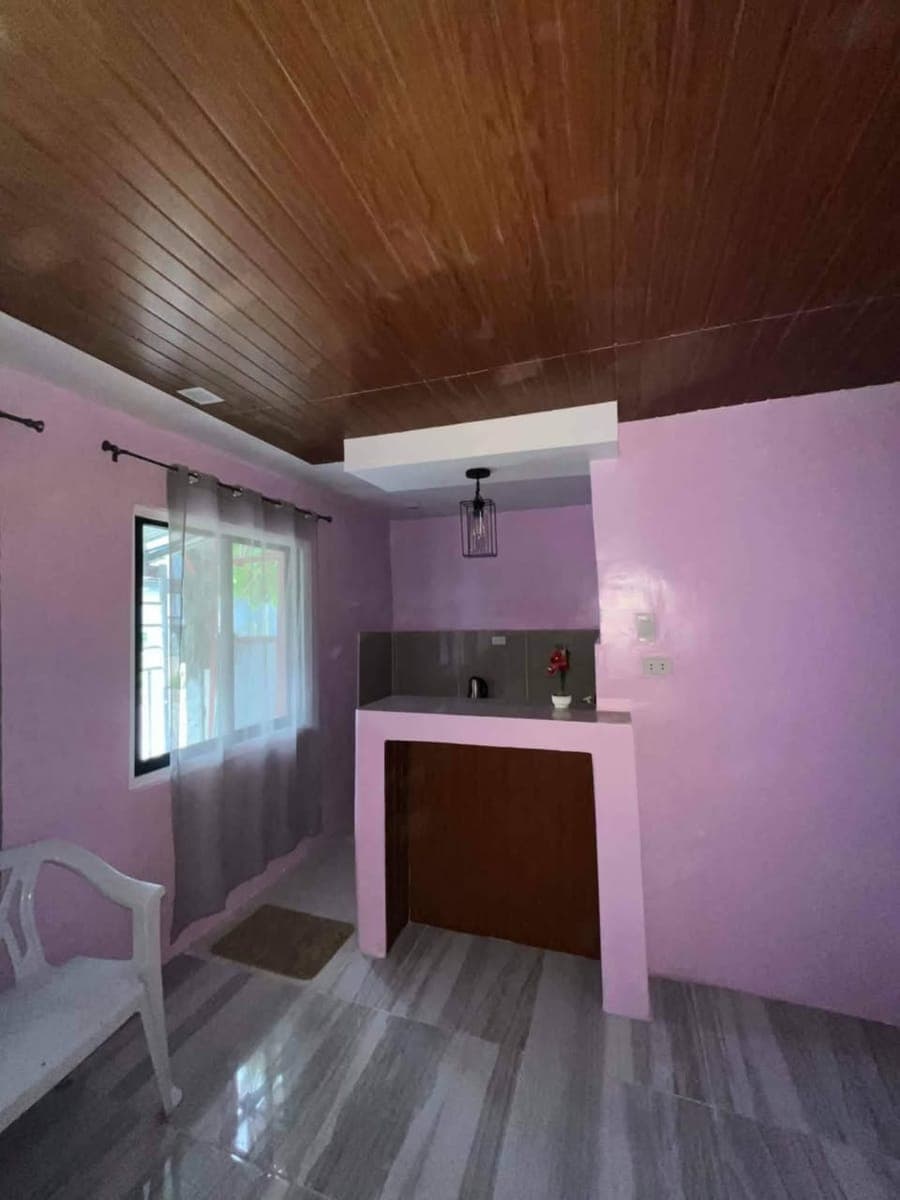 New 2-story House for rent - photo 1